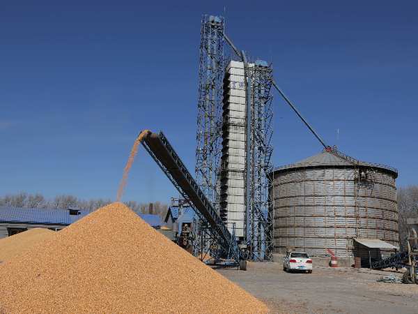 燒煤改燒秸稈大包直燃熱風爐，烘干成本省一半